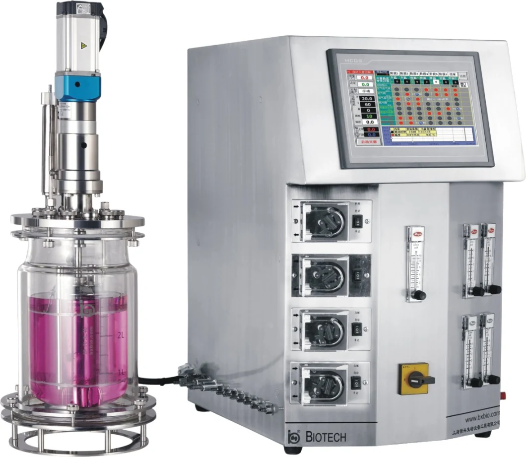 Biological Fermentation Laboratory System Multi-Stage Independent Sterilization 304 Stainless Steel Fermenter Equipment China